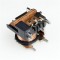 LR4119-12VDC-1C