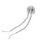 SOCKET GU5.3 (MR16)